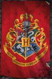 Hogwarts Flag, Harry Potter, Juliste