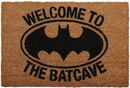 Welcome To The Batcave, Batman, Ovimatto