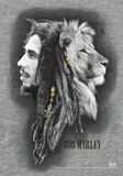 Profiles, Bob Marley, Seinälippu