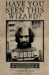 Wanted Sirius Black, Harry Potter, Juliste