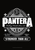 Beer Label, Pantera, Seinälippu