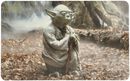 Master Yoda, Star Wars, 1067