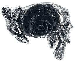 Wild Black Rose Ring, Alchemy Gothic, Sormus