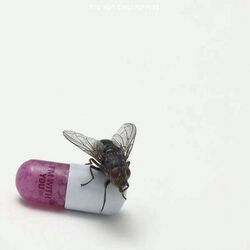 I'm with you, Red Hot Chili Peppers, CD
