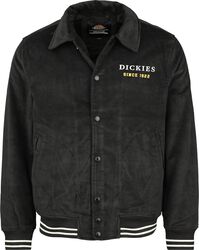 Westmoreland jacket, Dickies, Välikausitakki