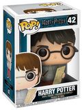 Harry Potter with Marauders Map Vinyl Figure 42 (figuuri), Harry Potter, Funko Pop! -figuuri