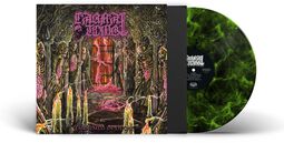 Embalmed in decay, Carnal Tomb, LP