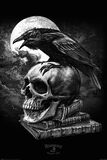 Poe's Raven, Alchemy England, Juliste