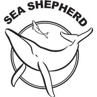 Kestävän kehityksen sertifikaatti